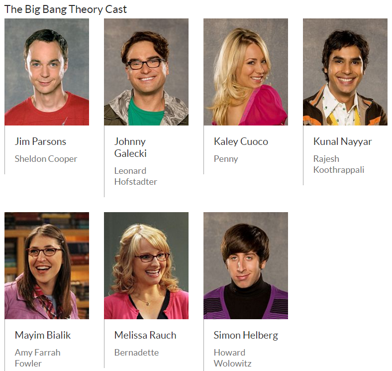 Der Cast von The Big Bang Theory